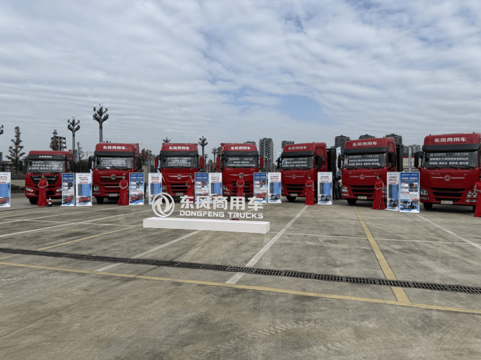 cfa346e748d34f72a5ad14c775a43c68